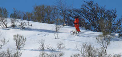 XXII Rally Fuentes de Invierno 